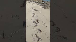 Norman's cay secret Island