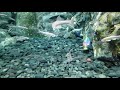 Robot fish / aquarium / lotte tower/ Korea
