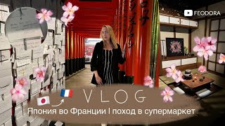 ВЫСТАВКА ЯПОНСКОЙ КУЛЬТУРЫ ВО ФРАНЦИИ🇫🇷 // БОРЕМСЯ С ФРАНЦУЗСКОЙ БЮРОКРАТИЕЙ 🇫🇷