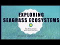 view Exploring Seagrass Ecosystems - Distance Learning Module digital asset number 1
