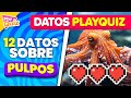 El Pulpo 🐙 Datos PlayQuiz 🧠 - ¿Cuánto Sabes?