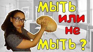 ■ МЫТЬ ИЛИ НЕ МЫТЬ?! ■ 🐹 Купать ли морских свинок? ■ МЫТЬ ИЛИ НЕ МЫТЬ?! ■ 🐹 Купать ли морских свинок?