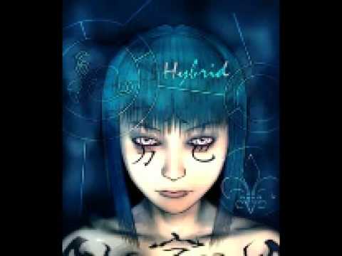 Hybrid - The Formular Of Fear (Matrix Dub)