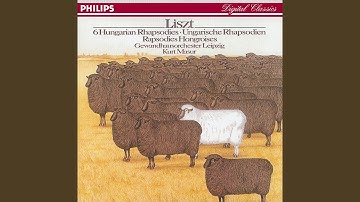 Liszt: Hungarian Rhapsody No. 6 in D, S.359 No. 6 (Corresponds with piano versionNo. 9 in E...