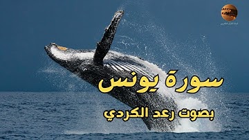 من اروع تلاوات القارئ رعد الكردي ترتيل مميز لـــسورة يونس