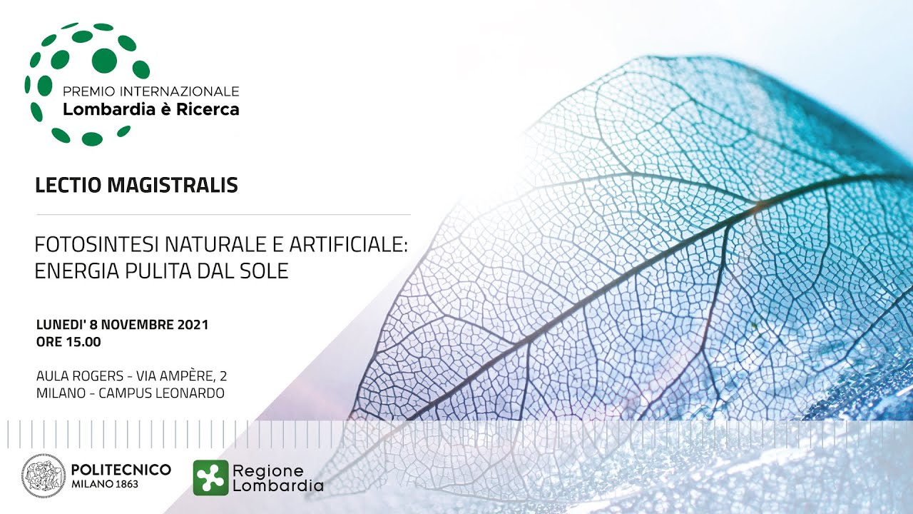 Fotosintesi naturale e artificiale: energia pulita dal sole