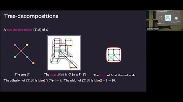 Michał Seweryn - Polynomial Bounds for the Graph Minor Structure Theorem