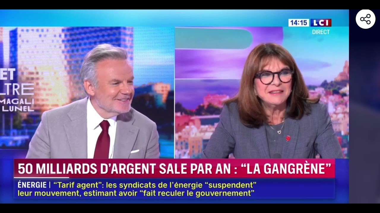Nathalie Goulet invitée sur LCI pour son livre " La gangrène"
