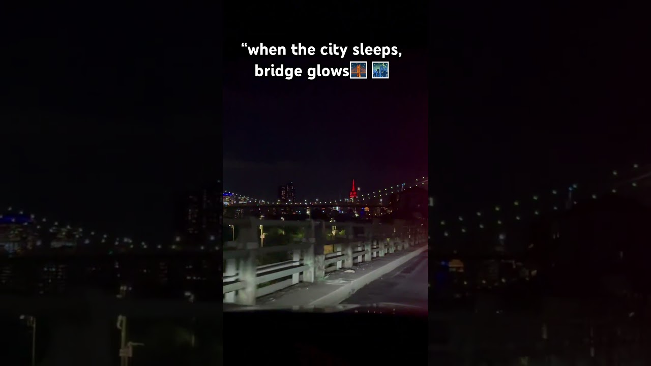 Brooklyn Breeze Vibes with the Skyline 🌇