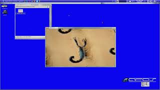 AROS 64 New  DemoScene additions Nano and Arrakis ! (Thanks Farox)