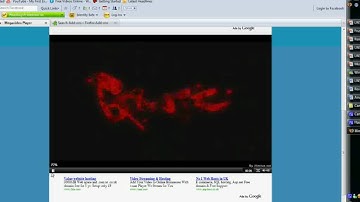 Megavideo time Bypass  (best ever)
