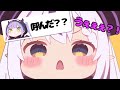 トワ様登場でラプ様崩壊⁉動揺しまくるラプ様が可愛すぎる！！【ホロライブ切り抜き】