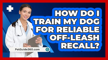 How Do I Train My Dog For Reliable Off-leash Recall? - PetGuide360.com