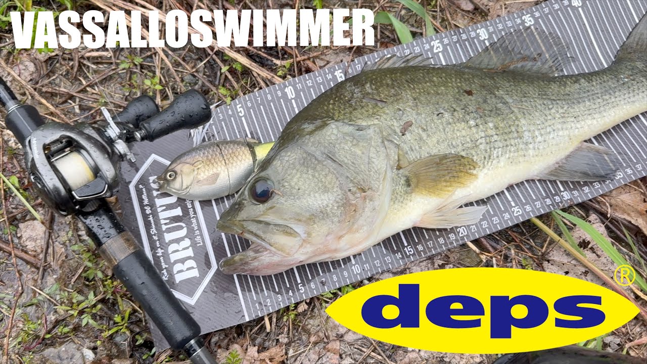 Basal Swimmer] The way the swimmer performs with the secret