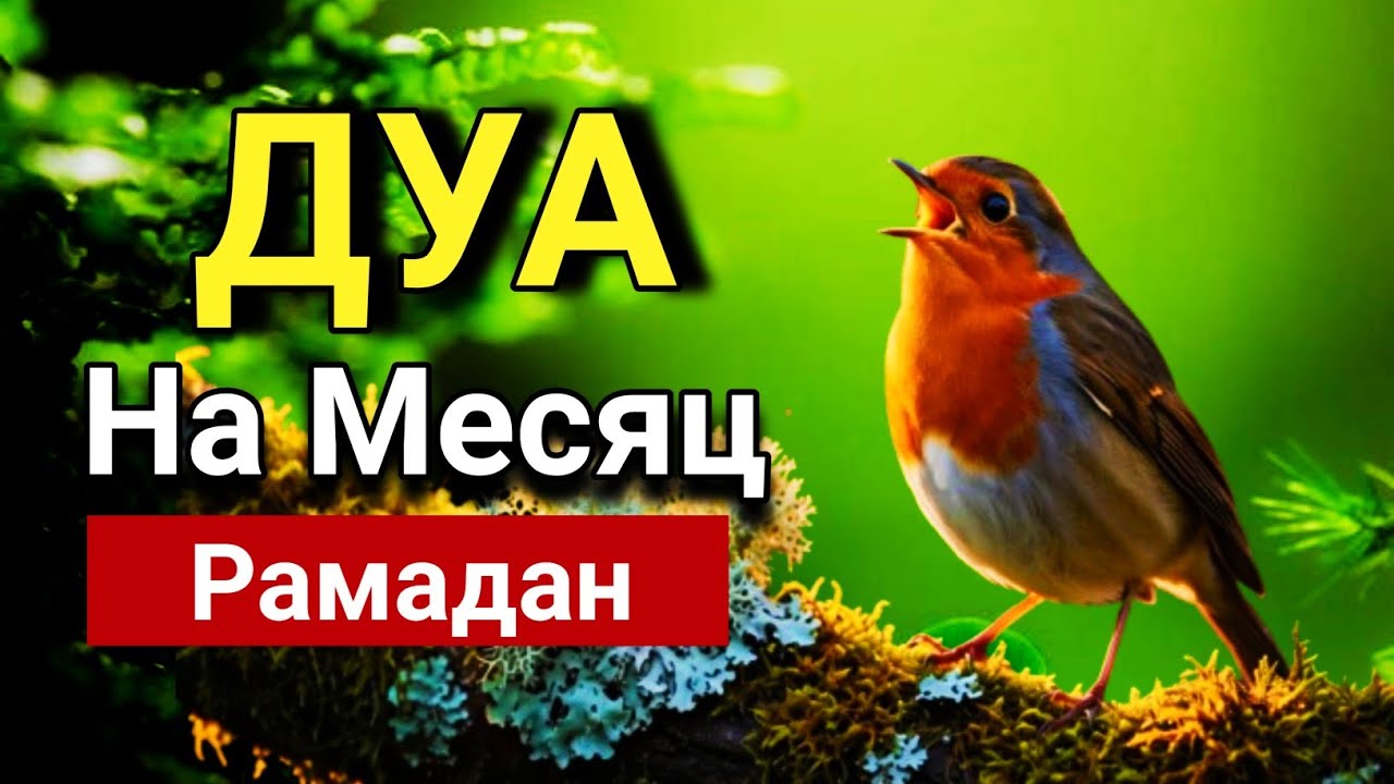 ✨ Слушай это дуа сейчас в месяце рамадан - Дуа которое стирает все грехи! 💖🤲💯