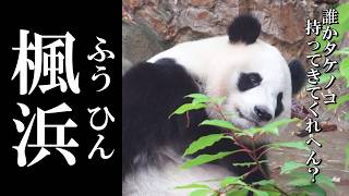 【5月14日】楓浜 (ふうひん) の最新映像✨