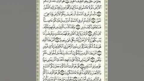 سورة الملك تبارك للقارئ محمد البراك