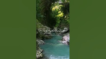 سوره الفجر // ماهر المعيقلي ❤️