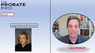 Alachua County Probate Court Overview #theprobatepro #probate #Alachua #probateattorney #court
