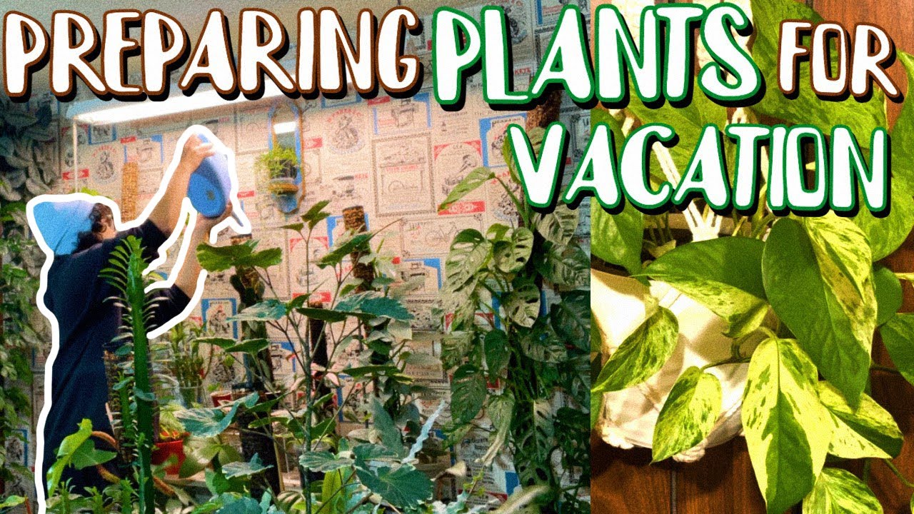 LEAVING My Plants Behind for 2 Weeks!? ♡ Prepare My Plants for Vacation