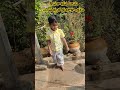 Little momo's ugadhi wishes_Sri Parabhava nama samvatsara ugadhi subhakankshalu #ugadi #ugadi2026
