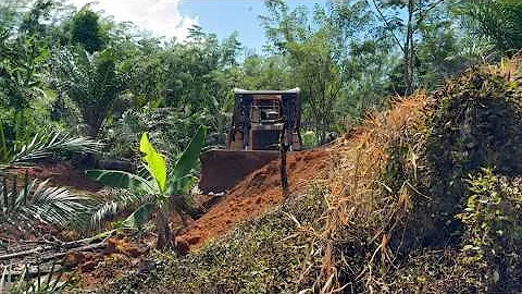 Construction of Plantation Roads in Steep Areas Using CAT D6R XL Bulldozer
