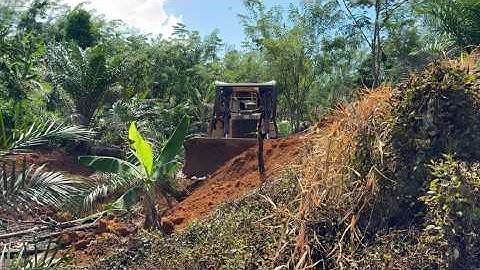 Construction of Plantation Roads in Steep Areas Using CAT D6R XL Bulldozer