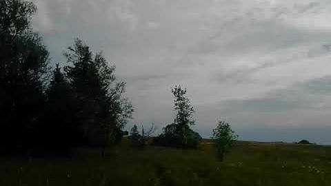 Moving Trees Phenomena - part 3