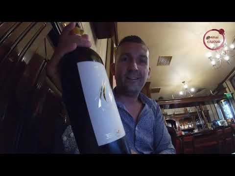 Video: Un ghid al regiunilor viticole din Italia