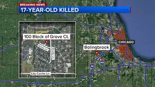 17-year-old shot to death in Bolingbrook identified by police