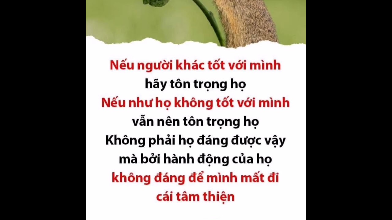 Danh Ngôn Hay Và Ý Nghĩa 29/06/22 - youtube