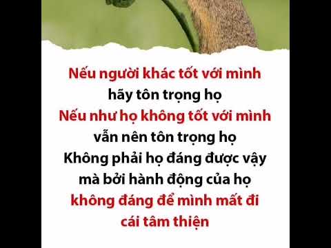 Video Danh Ngôn Hay Và Ý Nghĩa 29/06/22 - youtube