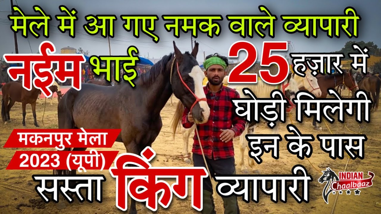 मेले में सस्ता किंग व्यापारी नईम भाई 25 हज़ार में बेच रहे हैं घोड़ी Makanpur Mela 2023