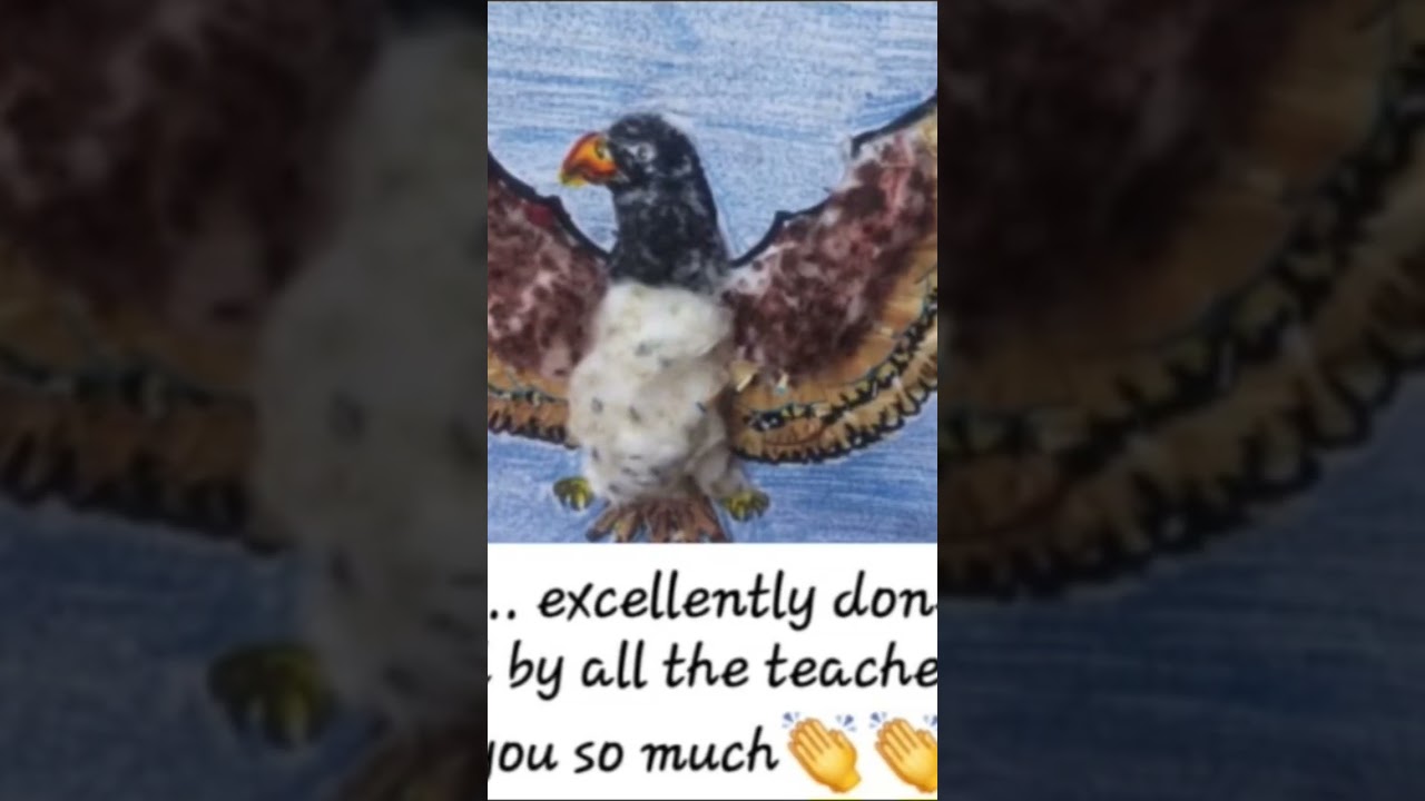 falcon|Uae's national bird 