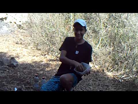קורס מש"צים 2011 - הדרכה על היווצרות תל