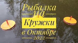 видео: СТОЛЬКО ПОКЛЁВОК Я ЕЩЁ НЕ ВИДЕЛ! ЛОВЛЯ ЩУКИ И СУДАКА НА КРУЖКИ! картинка: СТОЛЬКО ПОКЛЁВОК Я ЕЩЁ НЕ ВИДЕЛ! ЛОВЛЯ ЩУКИ И СУДАКА НА КРУЖКИ!
