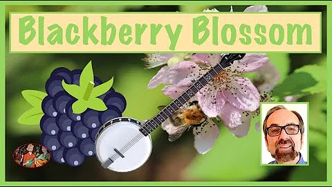 Blackberry Blossom  Variations for Banjo