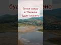 Белое озеро в Тбилиси будет спасено #грузия #тбилиси #природа #водоём #озеро