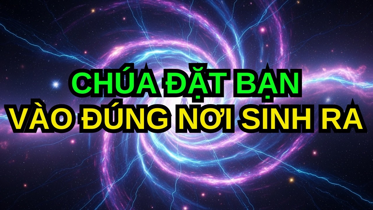 NGƯỜI ĐƯỢC CHỌN! BẠN KHÔNG SINH RA TRONG GIA ĐÌNH ĐÓ TÌNH CỜ — ĐÂY LÀ NHIỆM VỤ CỦA BẠN!