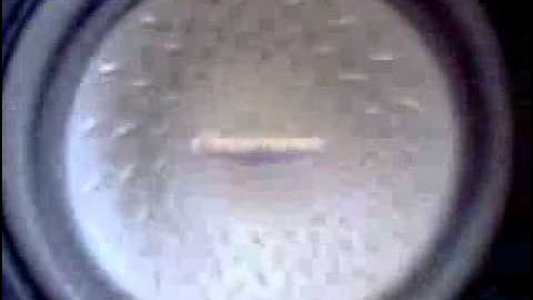 12vdb.com - car audio database: Pioneer Ts-w203.1