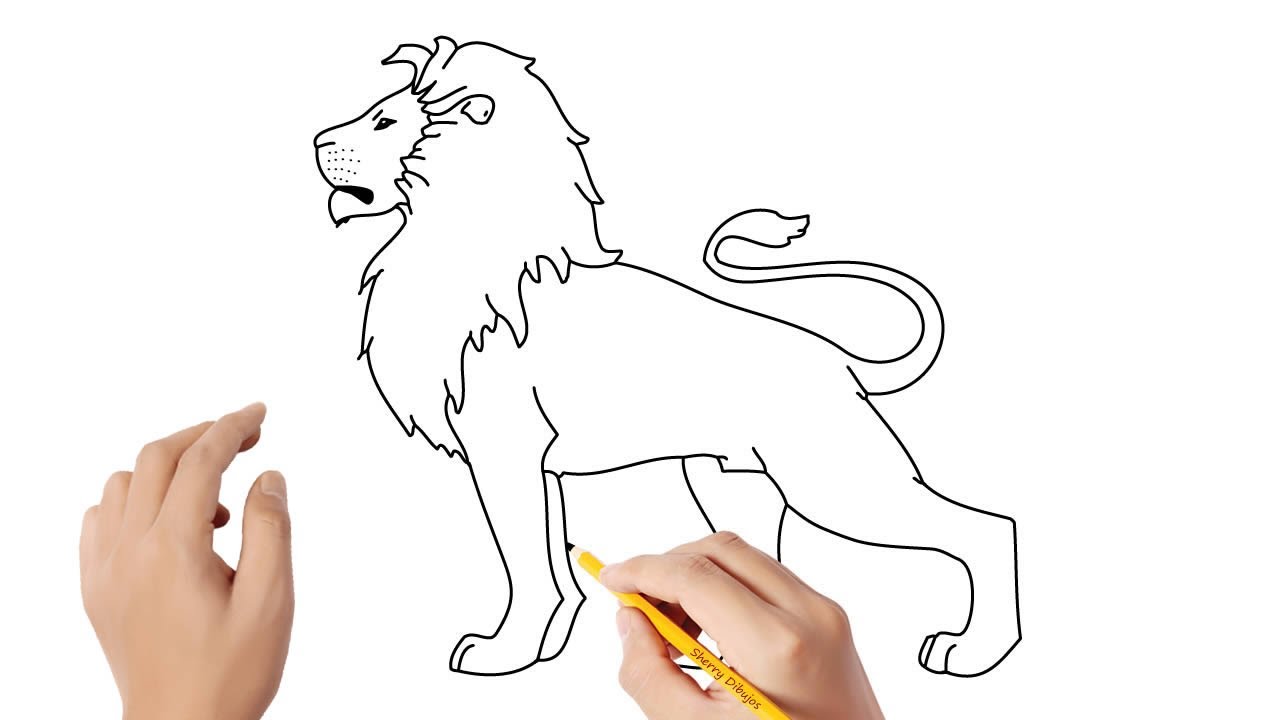 Cómo dibujar un leon | Dibujos sencillos - YouTube