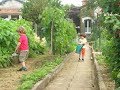 La permaculture, c