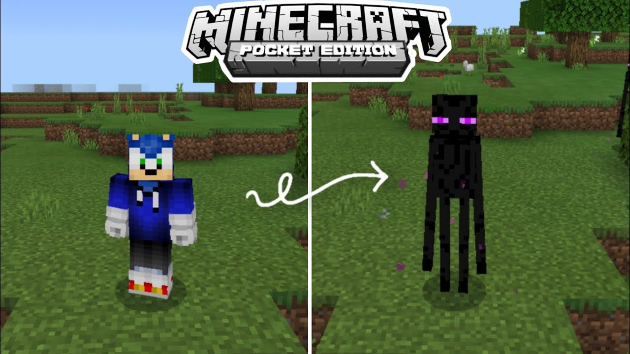 TRANSFORMATE EN CUALQUIER MOB DE MINECRAFT! 😱 Addon Para Minecraft PE ...