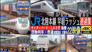 4K / HOKURIKU line Limited Express Thunderbird, Shirasagi and EF510 freight train high speed pass