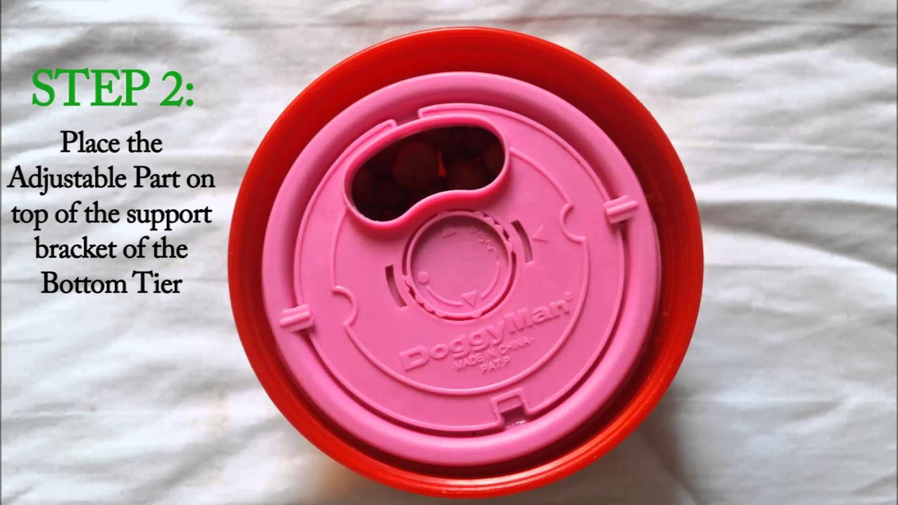 IQ Ball by DoggyMan Video Review YouTube