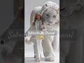 Smile & Walk 😃🚶| #shorts #viral #trending #ytshorts #youtube #google