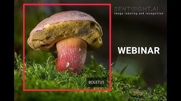 SentiSight Image Annotation Webinar 2021 10