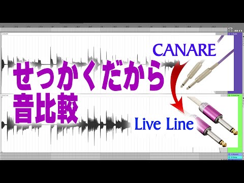 時間限定値下げ　live line　国産シールド　4m S/S　カスタムオーダー live line 国産シールド 4m S/Sプラグ レア カスタムオーダー 青