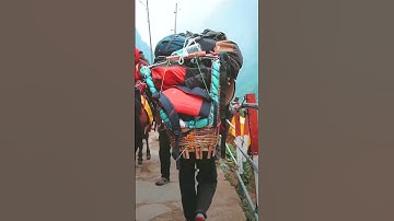 Mahadev Status | Kedarnath WhatsApp Status 2023 | Kedarnath in 2023 #kedarnath #status