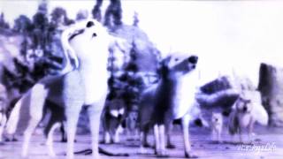 ραяα∂ιѕє //parт 1//